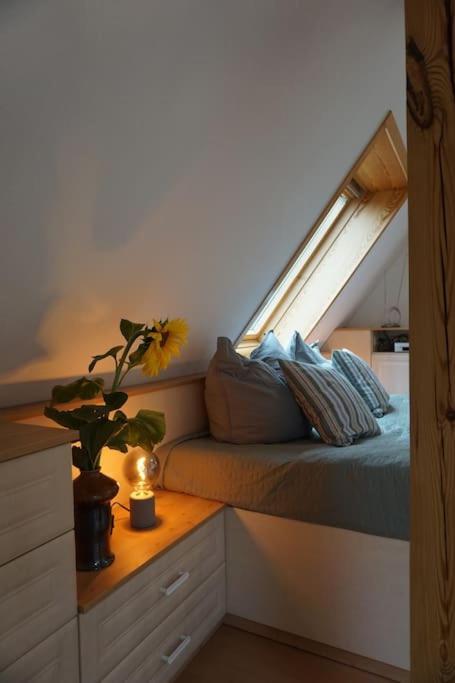 Apartment Mit Ausblick Im Dresdner Suedwesten Δρέσδη Εξωτερικό φωτογραφία
